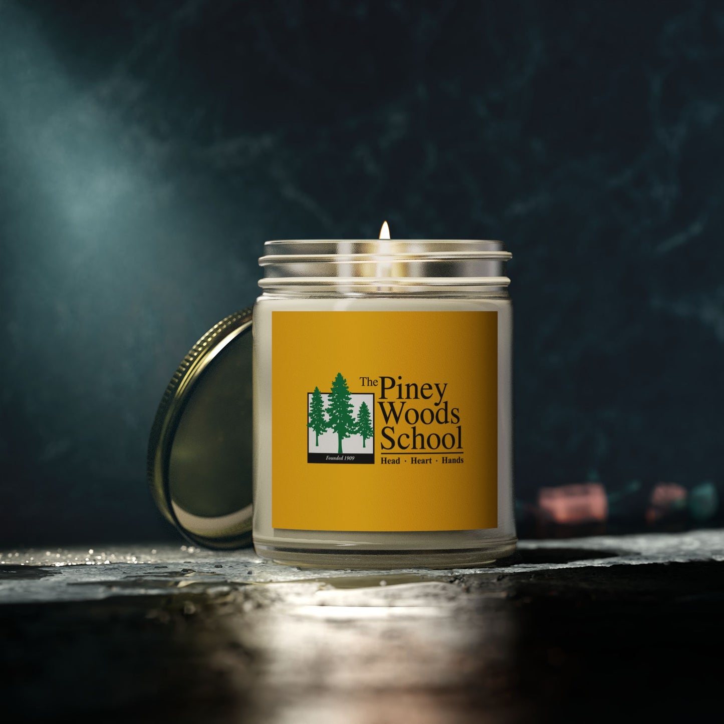 PWS Candles, Scented Coconut Apricot (4oz, 9oz)