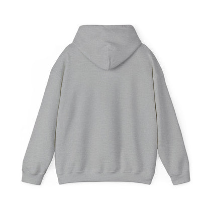 PWS Unisex Hoodie (Grey)