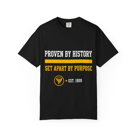 Proven By History Tee, front print in gold and white on a black garment-dyed tee