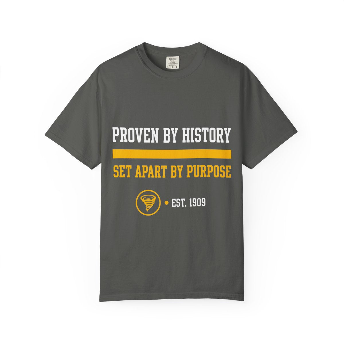 Proven By History Tee Values Edition in Pepper — front print in gold and white
