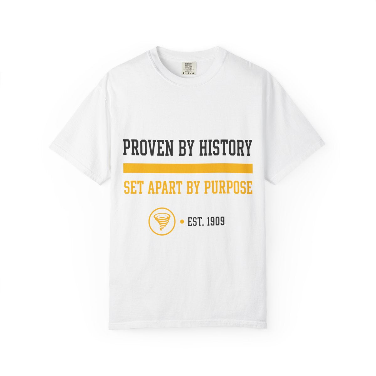 Proven By History Tee in White — front print in black and gold