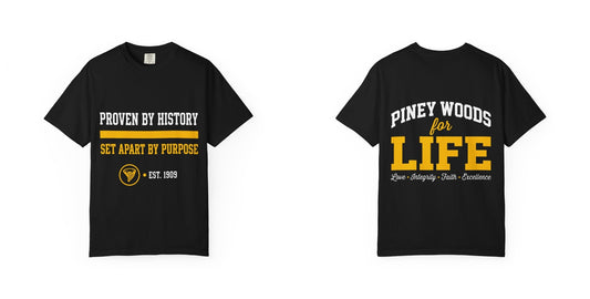 Proven By History Tee Values Edition — front and back print